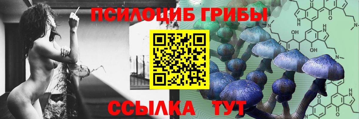 Псилоцибиновые грибы GOLDEN TEACHER Арсеньев